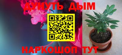 стафф Моздок