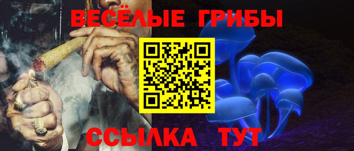 Псилоцибиновые грибы Psilocybe  Вход с VPN  Югорск 