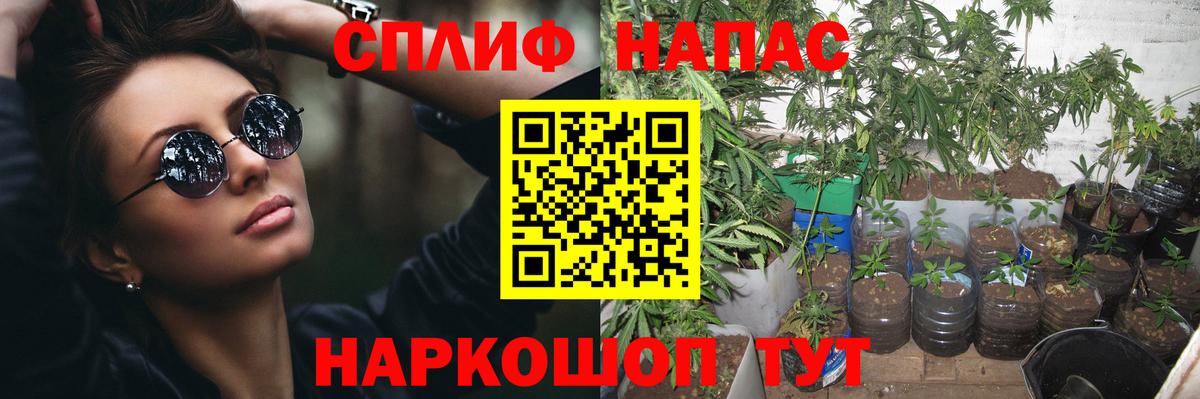 Югорск  Каннабис Amnesia  Вход с VPN  Шишки марихуана ГИДРОПОН  МАРИХУАНА марихуана 