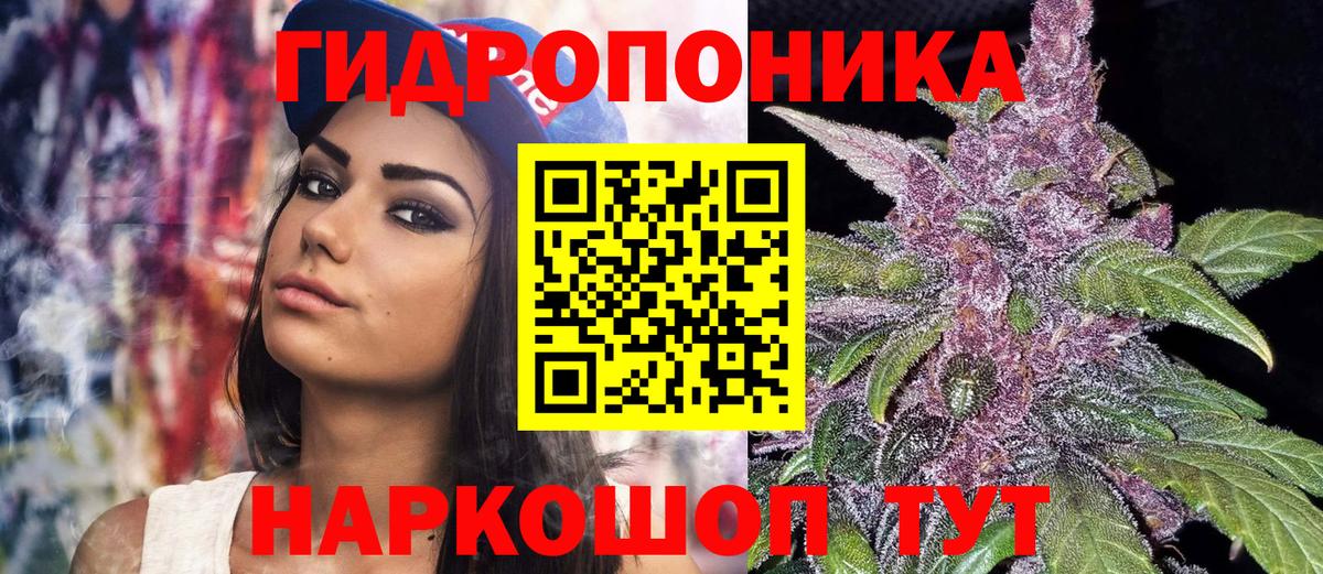 Канабис гибрид Югорск